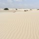 64- Desert pres de Bafureira 